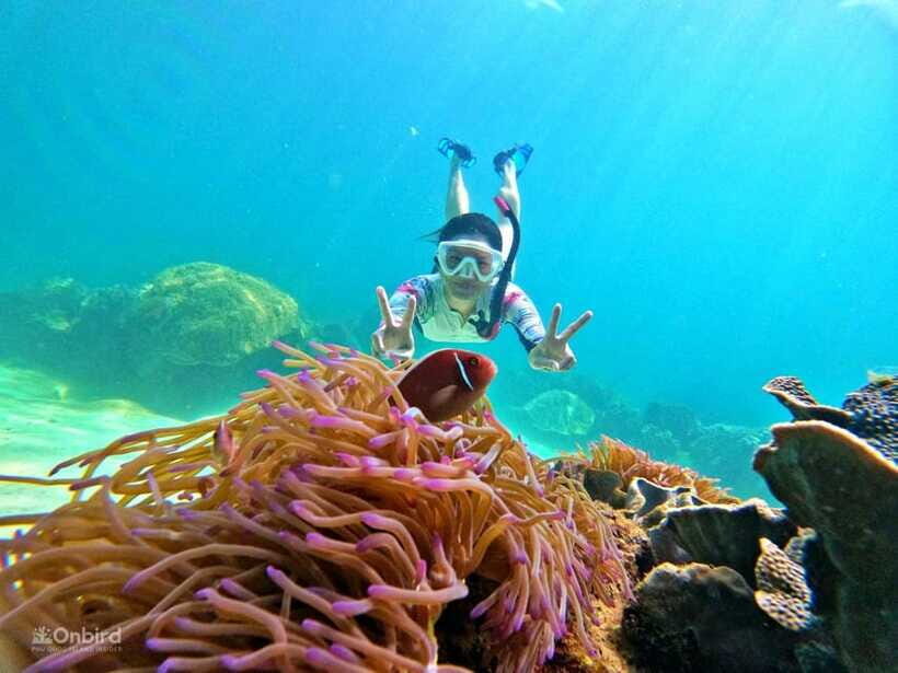 Phu Quoc: Speed Boat Tour 4 Islands - 2 Reefs Snorkeling - Gear quality: why anti-fog masks change the whole experience