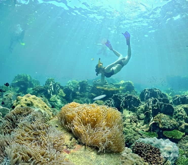 Phu Quoc Speedboat Pro Snorkeling: 4 Islands-2 Reefs & Meal - How OnBird keeps Phu Quoc snorkeling from feeling random