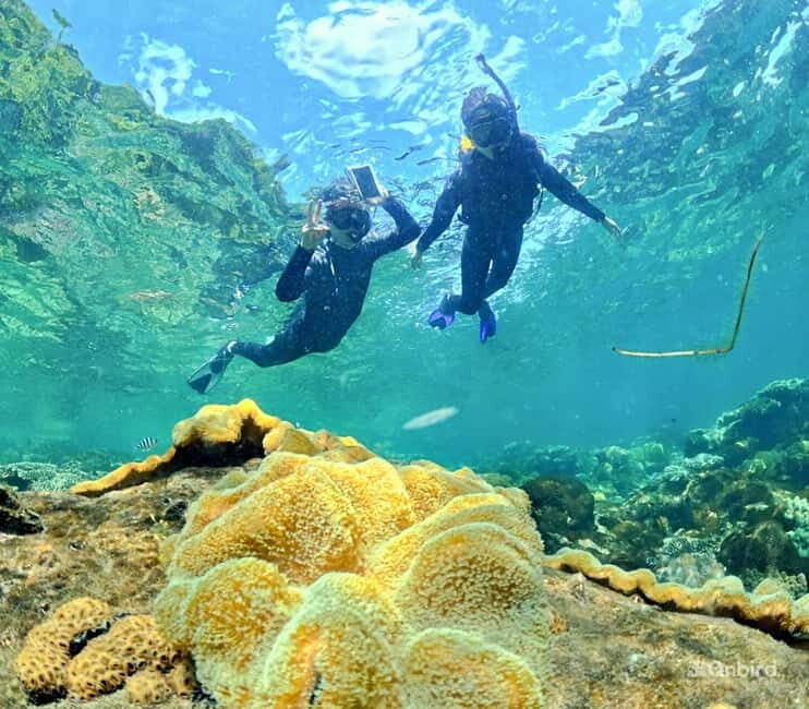 Phu Quoc Speedboat Pro Snorkeling: 4 Islands-2 Reefs & Meal - Stop 1: the calm beach that sets you up for a good snorkel