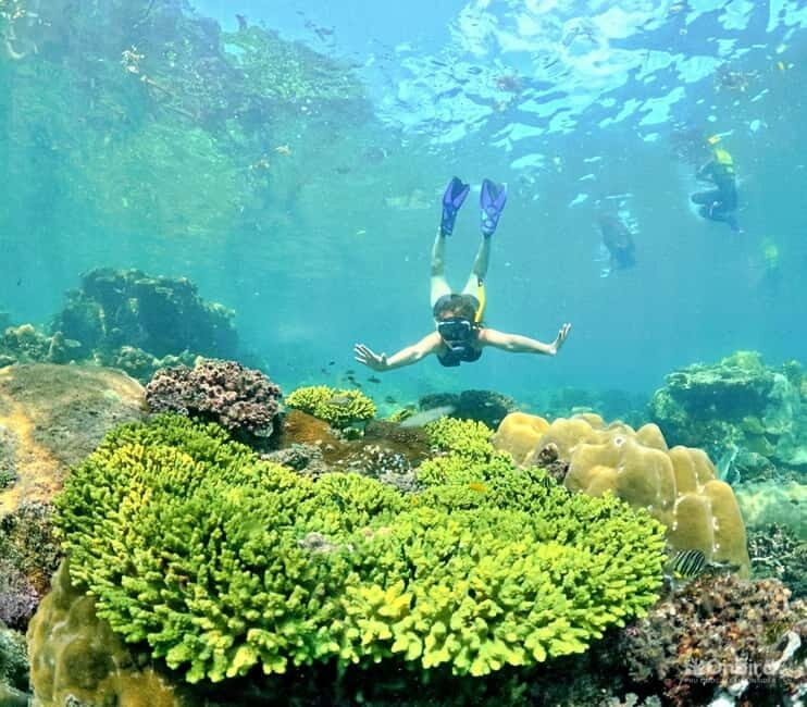 Phu Quoc Speedboat Pro Snorkeling: 4 Islands-2 Reefs & Meal - Island time: sunbathing on the beach chairs