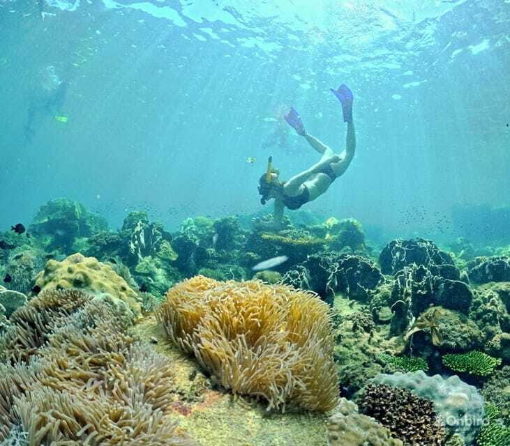 Phu Quoc Speedboat Pro Snorkeling: 4 Islands-2 Reefs & Meal - Sunset dinner on the main island (and why it’s planned)