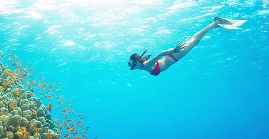 Phu Quoc: Speedboat Tour of 4 Islands with Snorkeling & BBQ - Key Points to Know Before You Go