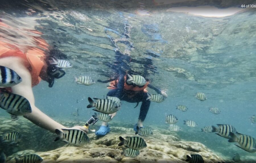 Phu Quoc: Speedboat Tour of 4 Islands with Snorkeling & BBQ - Money and Value: What $56 Buys You (And What It Doesn’t)