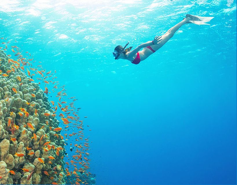 Phu Quoc: Speedboat Tour of 4 Islands with Snorkeling & BBQ - First Stop: Kim Quy Island (Golden Turtle Island) Snorkeling