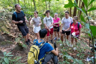 Phu Quoc: Tien Son Dinh 6-Hour Jungle Trekking Adventure - The 6+ Kilometer Climb: What the Route Feels Like