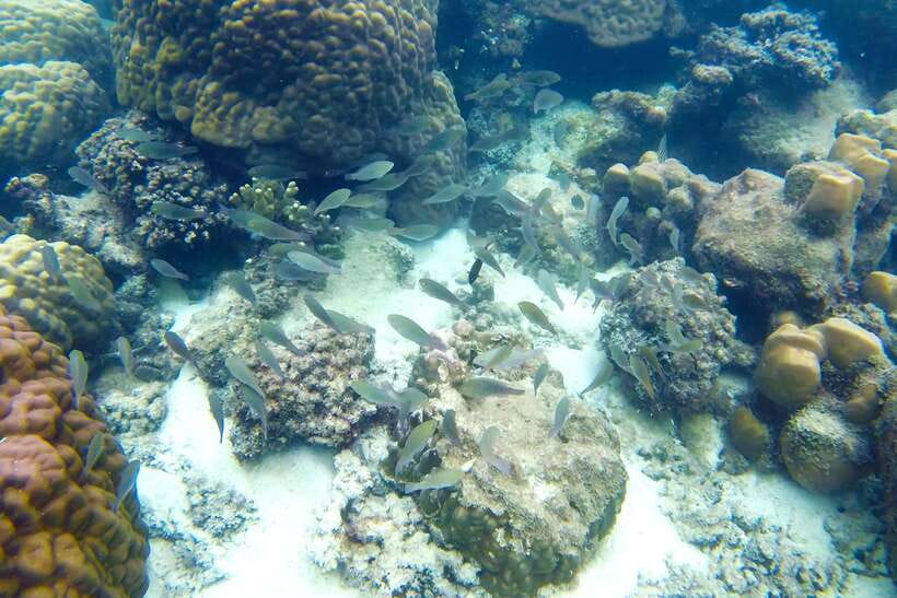 PHU QUOC TRIP 2: 2 ISLANDS BY BOAT - Price and Time: What $25 Buys You