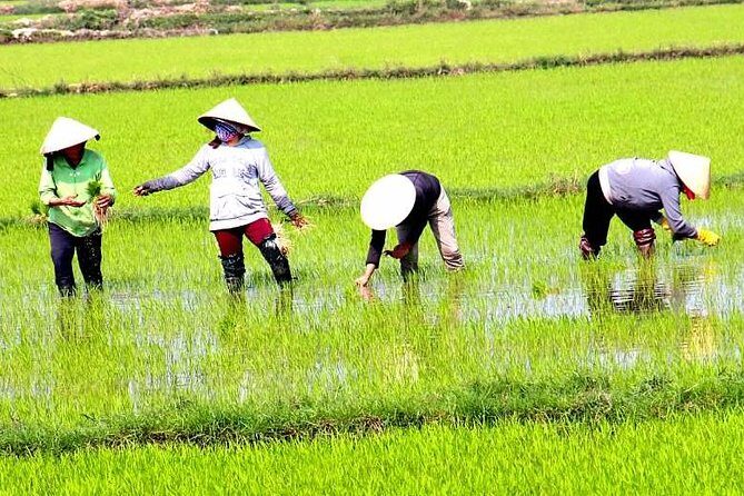 Private - An Authentic Mekong Local Version - Day Tour - Pickup at 7:30 and a small-group pace that stays manageable