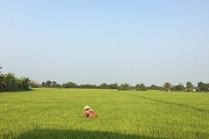 Private - An Authentic Mekong Local Version - Day Tour - Scooter time through rice fields and dragon fruit plantations