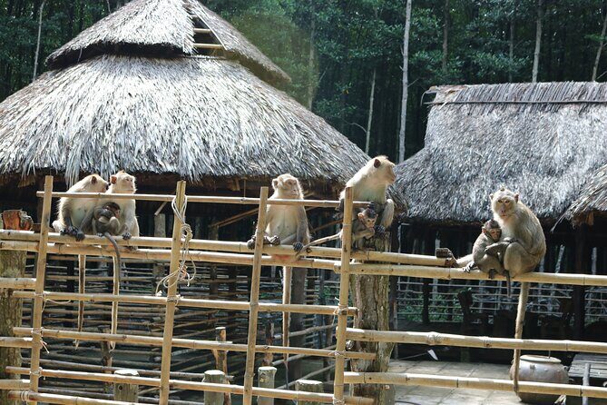 Private Can Gio Biosphere Reserve Day Trip from Ho Chi Minh City - Soft trek and bird sanctuary: watching thousands of birds from a watchtower
