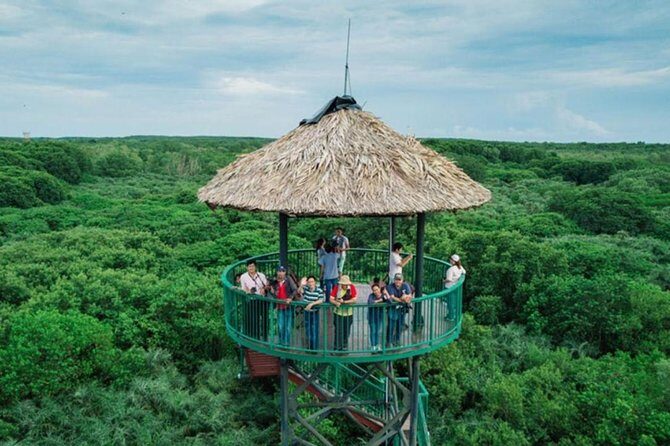 Private Can Gio Mangrove Eco Tour – Boat & Wildlife - Private Guide Matters: English, Pace, and Family-Friendly Wildlife Time