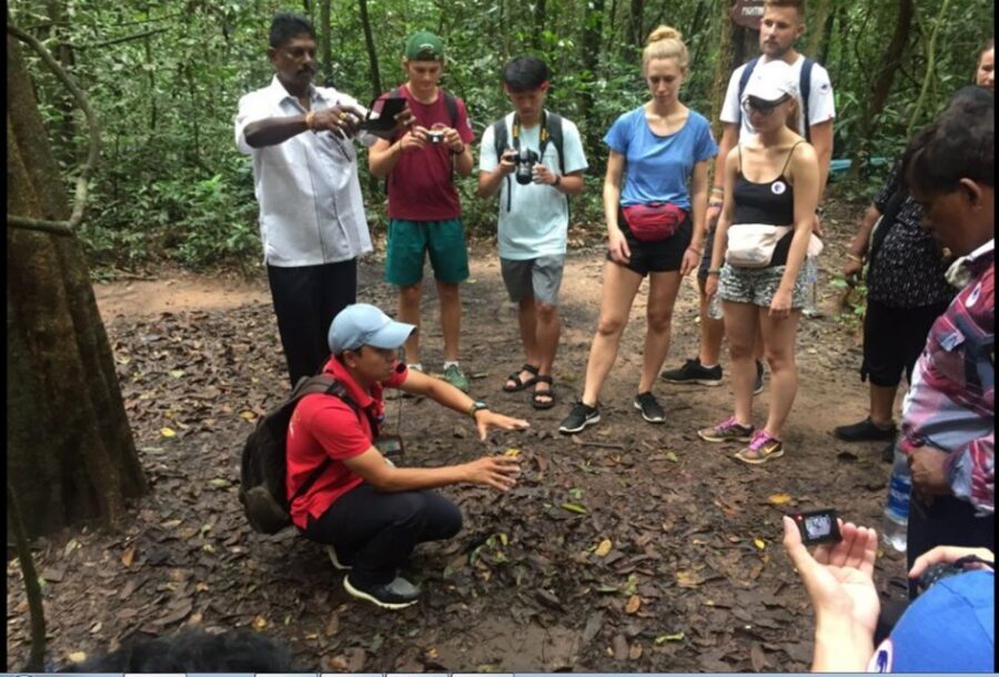 Private Cu Chi & Mekong Delta Tour: History Meets Nature - Coconut candy and family businesses: seeing craft up close
