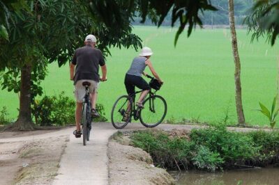 PRIVATE Luxury Sunset Mekong AFTERNOON TRIP with BBQ DINNER & COOK CLASS - Bee farm and honey tea: why this stop works
