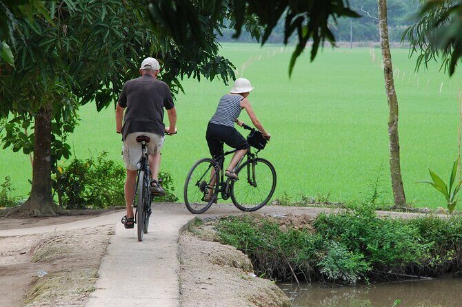 PRIVATE Luxury Sunset Mekong AFTERNOON TRIP with BBQ DINNER & COOK CLASS - Bee farm and honey tea: why this stop works