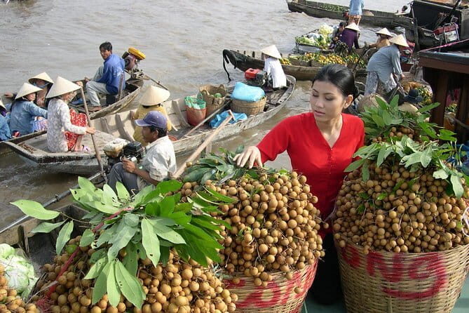Private Luxury Tour Mekong Delta 1 day - Key Highlights You’ll Care About