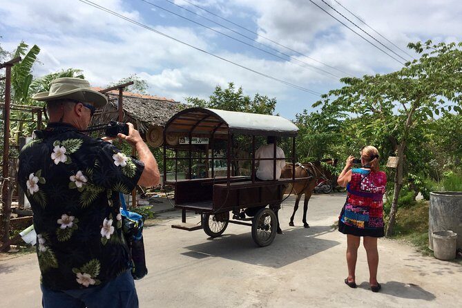 Private Mekong Delta Tour - My Tho - Ben Tre from Cruise Port - Who Should Book This Mekong Delta Day?
