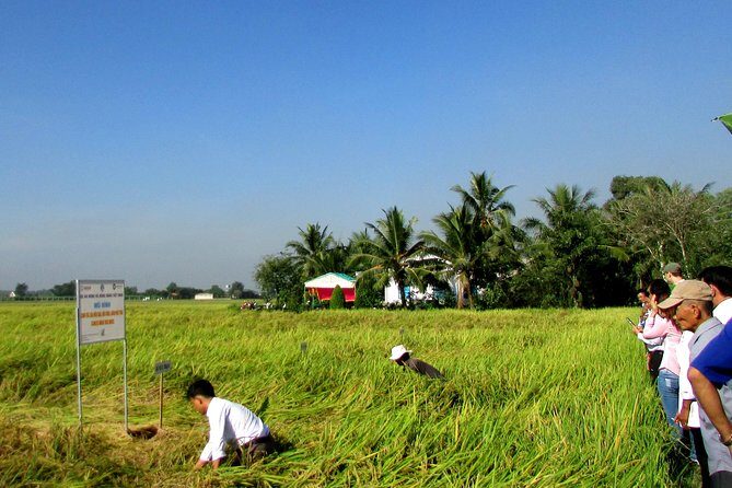 PRIVATE The Tunnels Of Cu Chi Half day tour - Comfort, Timing, and Small Planning Tips That Make a Difference
