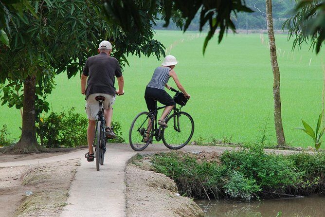 Private Tour Mekong Delta Day Trip from Ho Chi Minh City - Boat Transfers and Low-Water Timing: The Main Day-Trip Risk