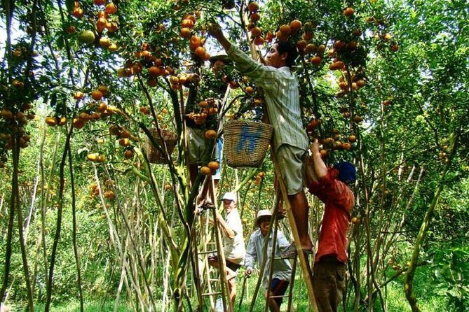 Private tour to Mekong Delta 1 day - The Mekong Delta in One Day, Without the Chaos
