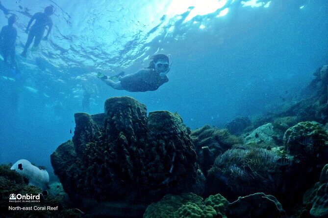 PRO-SNORKELING to Explore Hidden Coral Reefs (MAX 10 PAX) - Coaching and safety: what makes the small-group snorkel work