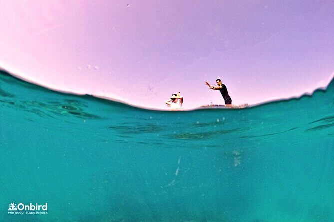 PRO-SNORKELING to Explore Hidden Coral Reefs (MAX 10 PAX) - Price and value check for $54.98 per person