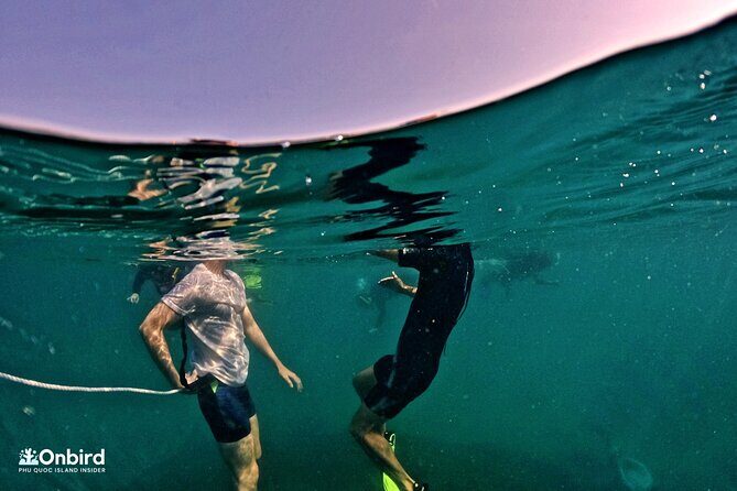 PRO-SNORKELING to Explore Hidden Coral Reefs (MAX 12 PAX) - Reef names you might see: from cactus corals to flowerpot shapes