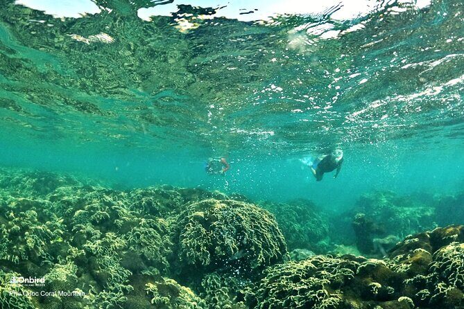 PRO-SNORKELING to Explore Hidden Coral Reefs (MAX 12 PAX) - The after-snorkeling island stop: fruit, juice, and less noise