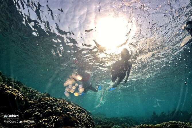 PRO-SNORKELING to Explore Hidden Coral Reefs (MAX 12 PAX) - Equipment and safety: what’s included, and why it matters
