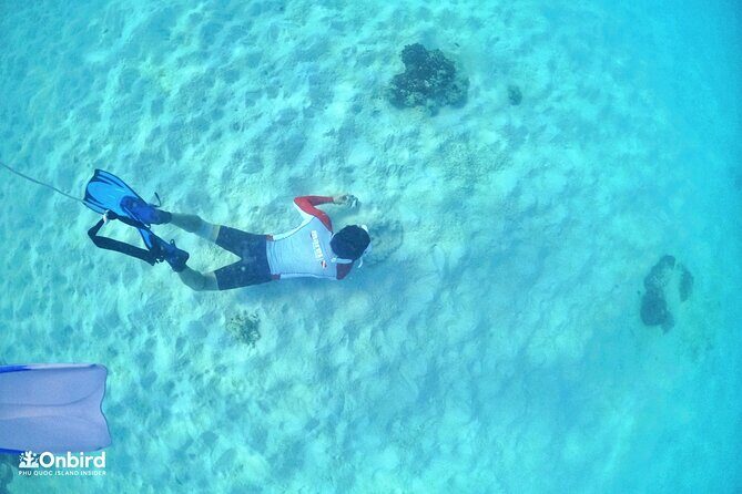 PRO-SNORKELING to Explore Hidden Coral Reefs (MAX 12 PAX) - Price at $53.90: what you’re really paying for
