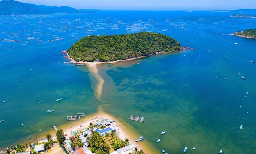 Quy Nhon Island Day Tour: Ky Co Beach, Eo Gio - Hon Kho: snorkeling coral in crystal-clear water
