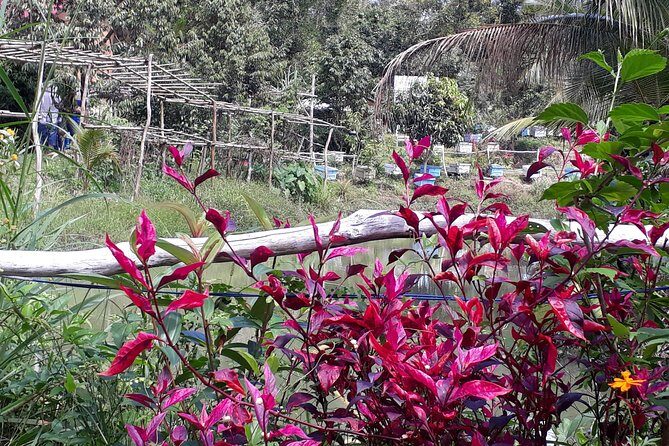 RED RIVER TOUR (Private Tour): LAND ISLAND TOUR AROUND THE SOUTH - Private South Phu Quoc in One Day: How the 8-Hour Plan Works