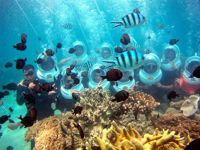 Red River Tours - Sea Walking Experience in Phu Quoc - Safety and Suitability: Who Should Skip Sea Walking