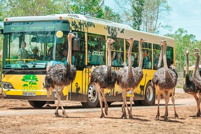 Safari Phu Quoc Ticket With Roundtrip Transfer - Vinpearl Safari Park: a zoo built on a safari model