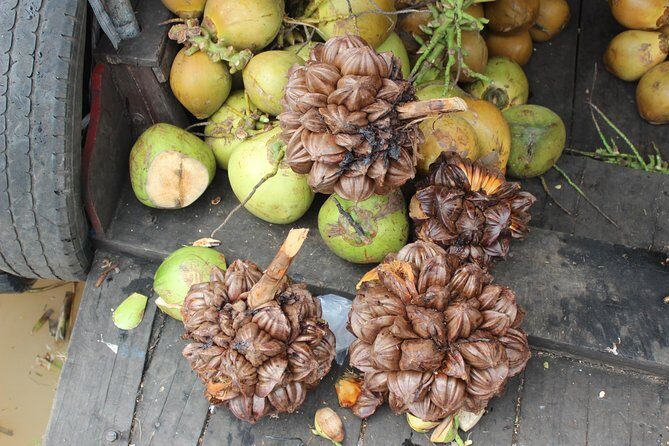 Small Group To Mekong Delta 1 Day - Who This Mekong Delta Trip Suits Best