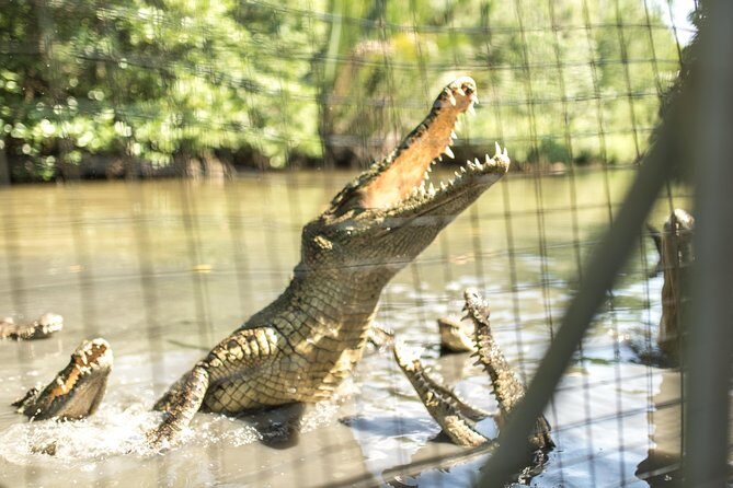Small-Group Tour to Can Gio Vam Sat Mangrove Forest - Bird reserve vs salt production: plan around the months (Nov–May bird tower, Apr–Oct change)