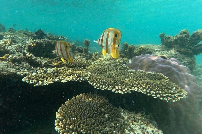Snorkeling tour to South of Phu Quoc Island & BBQ ( Max 10 PAX ) - When to book and what to bring