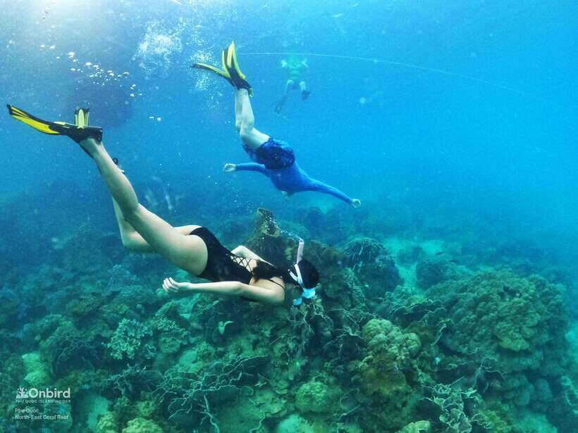 South Phu Quoc: Pro Snorkeling Tour by Speedboat - Key Things That Make This Tour Worth Your Time