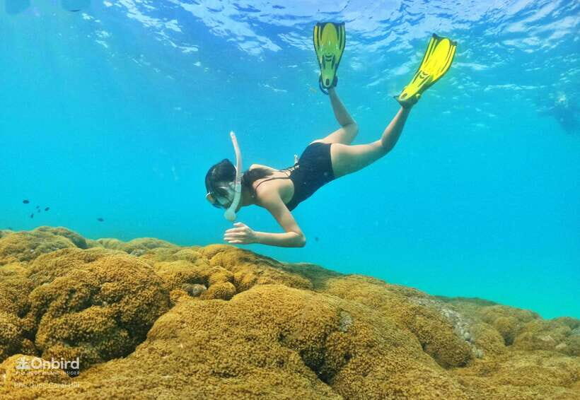 South Phu Quoc: Pro Snorkeling Tour by Speedboat - Four Stops in Six Hours: How the Day Flows