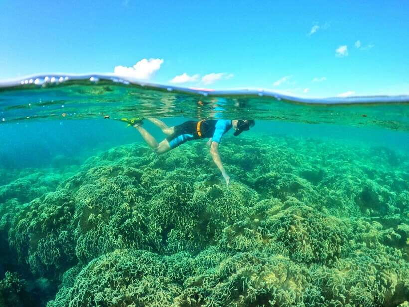 South Phu Quoc: Pro Snorkeling Tour by Speedboat - Boat Ride and the Beach Break: More Than Just Getting There