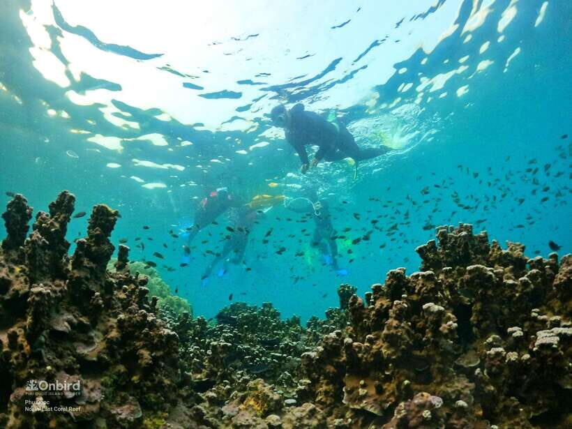 South Phu Quoc: Pro Snorkeling Tour by Speedboat - Where Pickup Works Best (And When You Pay Extra for Transfers)