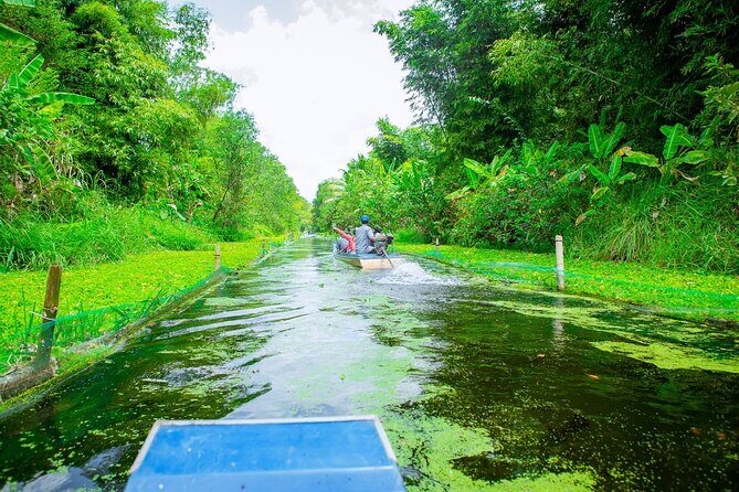 Southern Forest Tour – Explore Hau Giang Nature - Hau Giang’s Southern Forest: Why This Tour Works