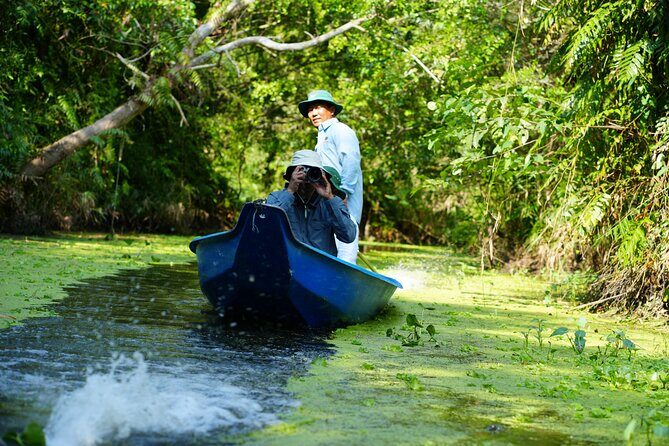 Southern Forest Tour – Explore Hau Giang Nature - Top-Deck Views and Narrow Forest Tracks: Two Ways to See the Same Place