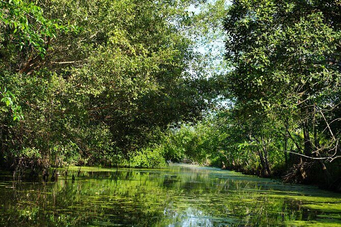 Southern Forest Tour – Explore Hau Giang Nature - Wildlife Photos Without Losing the Plot
