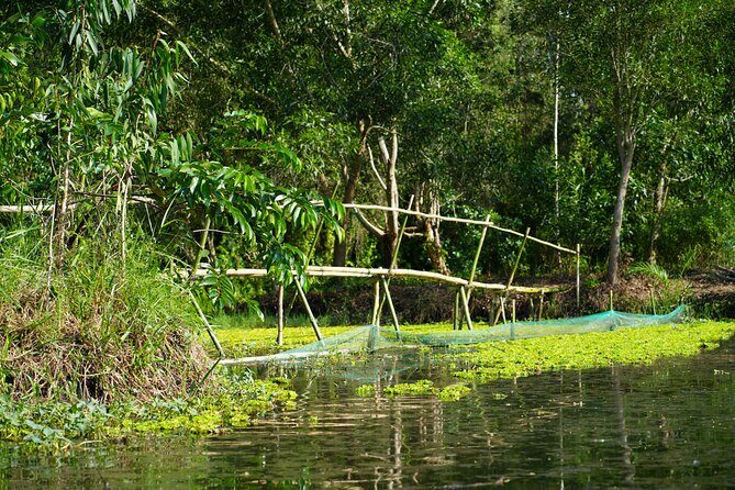 Southern Forest Tour – Explore Hau Giang Nature - Food and Refreshments: How the Day Stays Pleasant