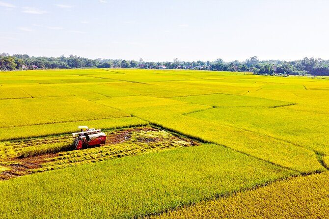 Standard 1 Day Cu Chi Tunnels & Mekong Delta - Cu Chi Tunnels: Rural Quiet Meets Wartime Reality