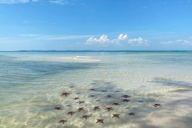 Starfish Beach Trip In Phu Quoc Island - Time Management: The Return Trip Without the Rush