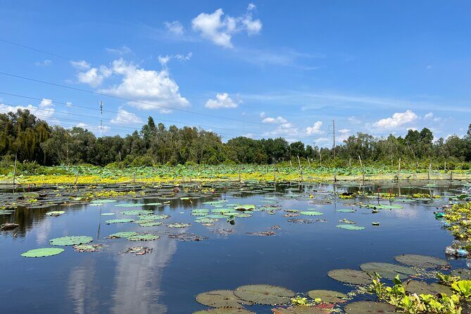 Tan Lap Floating Village Authentic Mekong Delta Nature Tour - Electric shuttle and machine boat through melaleuca forests