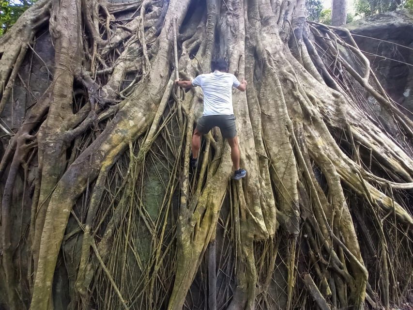 Tien Son Dinh 1-Day Trekking Tour Phu Quoc - Wildlife on the path: snakes, insects, and how to handle close encounters
