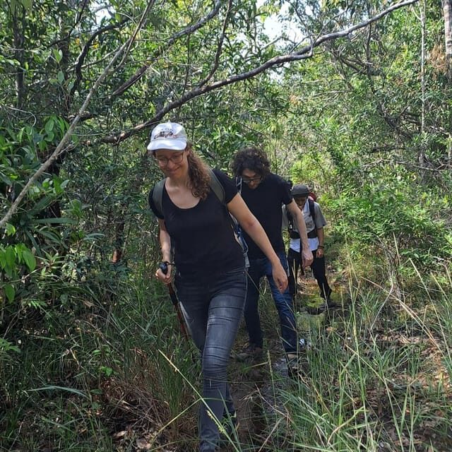 Tien Son Dinh 1-Day Trekking Tour Phu Quoc - Banh xeo lunch on the island: the fuel you’ll appreciate