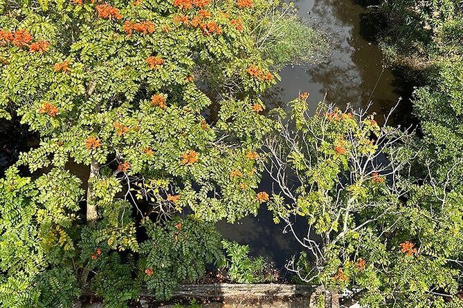 Tour for Nature lover- Lung Ngoc Hoang Nature Reserve in Can Tho - Birdwatching on land: where you slow down and learn to spot