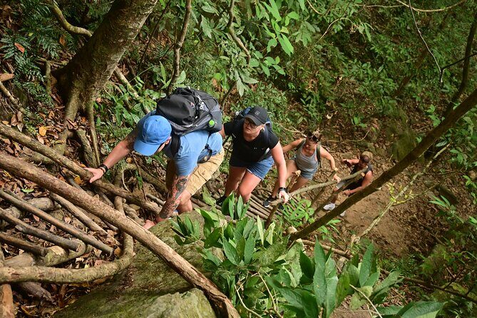 Trekking Tien Son Dinh Phu Quoc - Tien Son Dinh: a 280 m climb with jungle stories built in